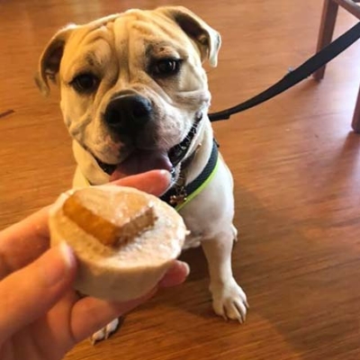 Peanut Butter PUPsicle